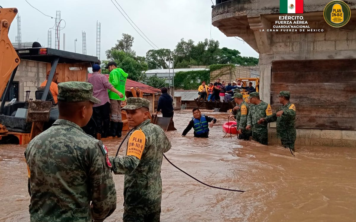 Desplegará Sedena más de 23 mil efectivos para apoyar a damnificados por 'Nadine' | Video