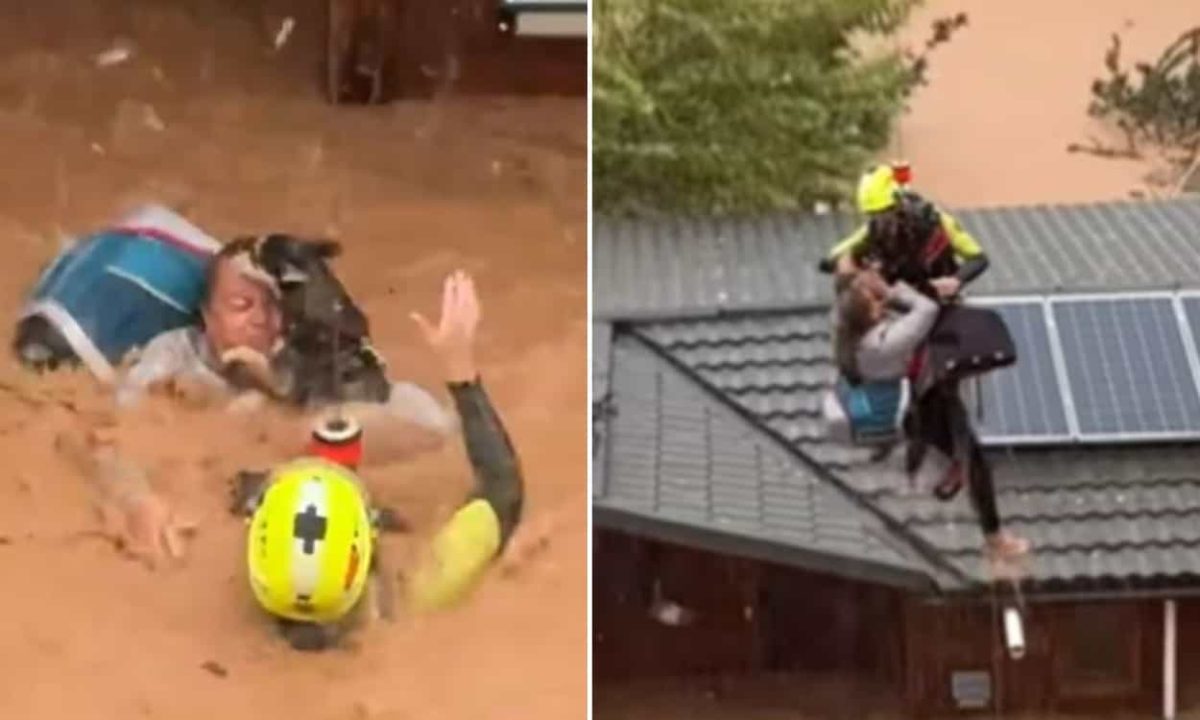 Video | Emotivo rescate de una mujer, su perro y sus gatos atrapados por Dana en Valencia