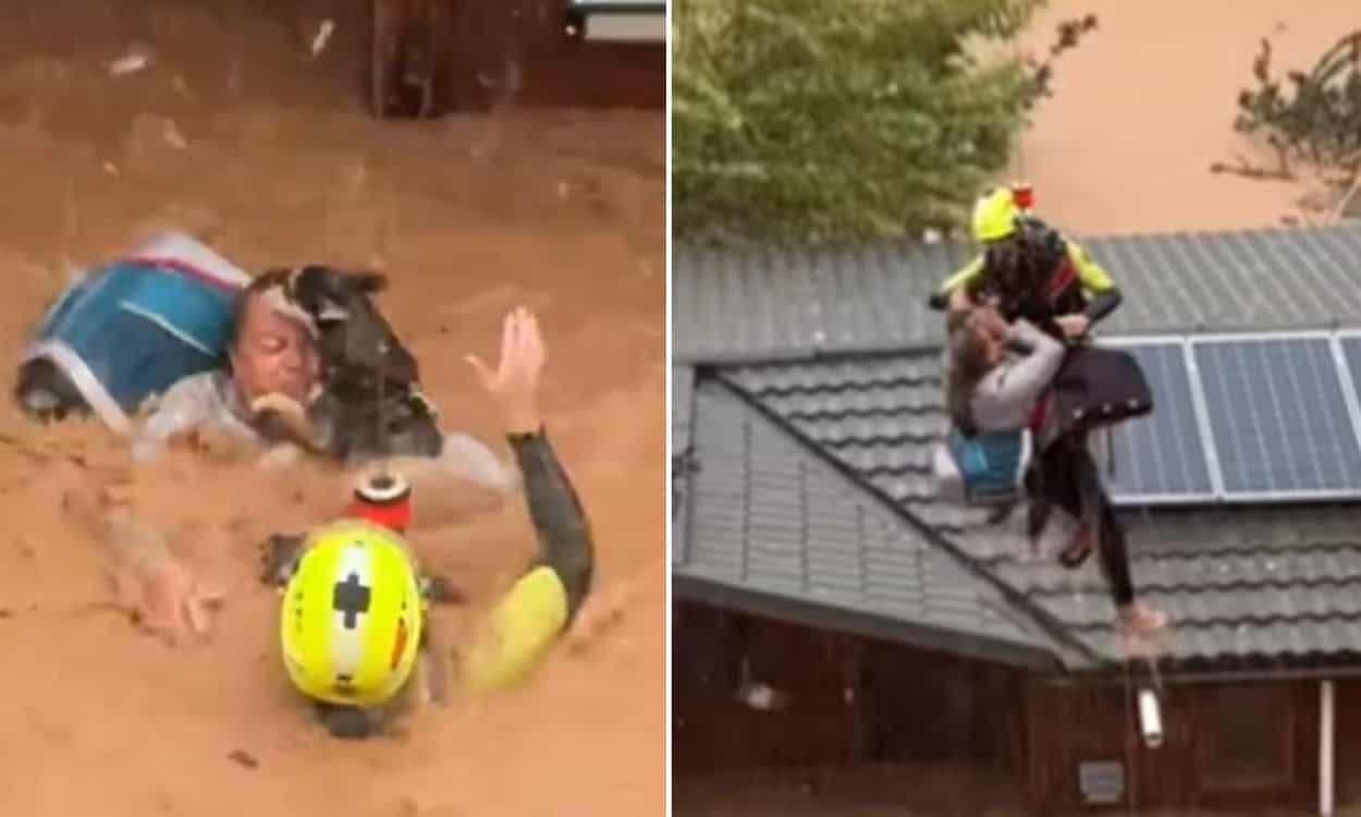 Video | Emotivo rescate de una mujer, su perro y sus gatos atrapados por Dana en Valencia