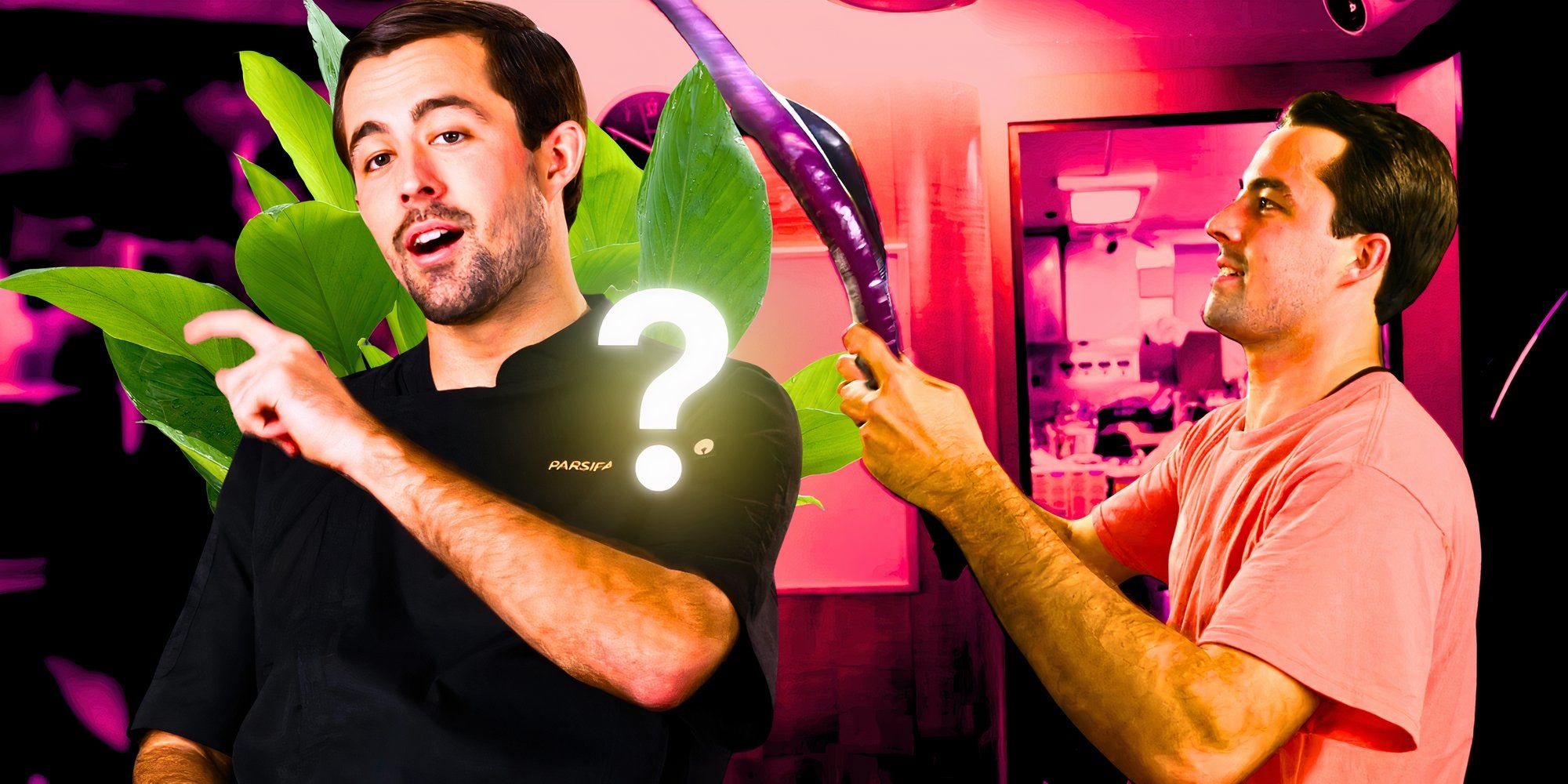 Yate de vela bajo cubierta: señales de que Cloyce Martin es una planta productora