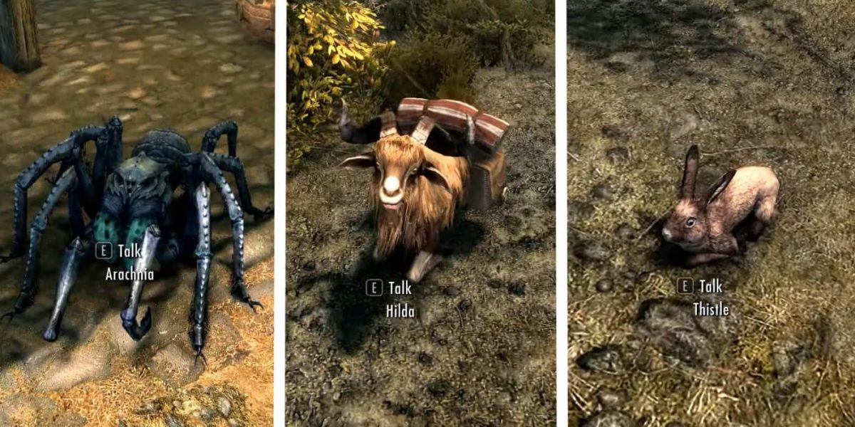 Skyrim: Pets of Skyrim Quest (todas las ubicaciones de mascotas)