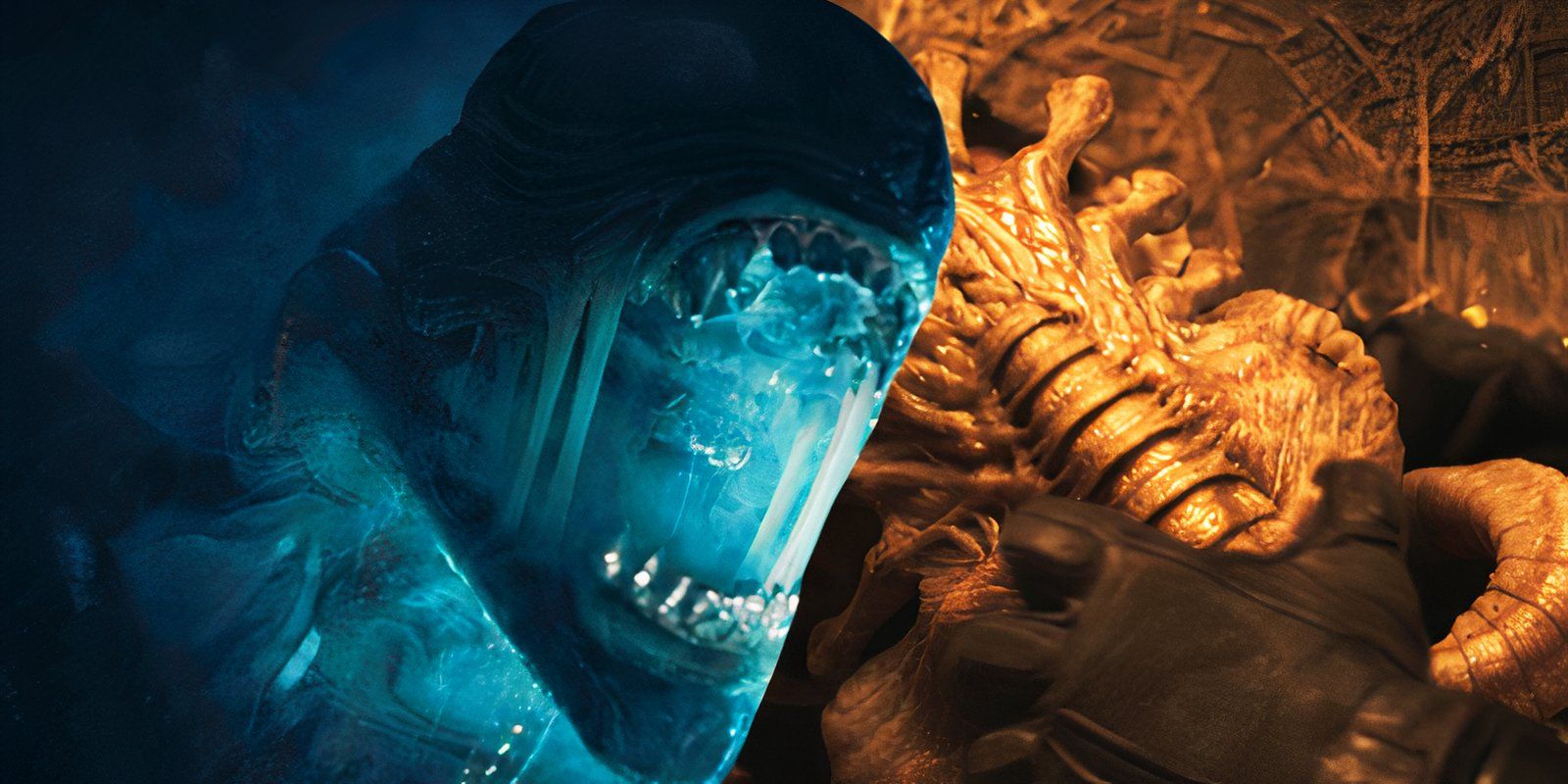 Se confirma el papel de Xenomorph en el programa de televisión Alien, el showrunner adelanta una nueva forma