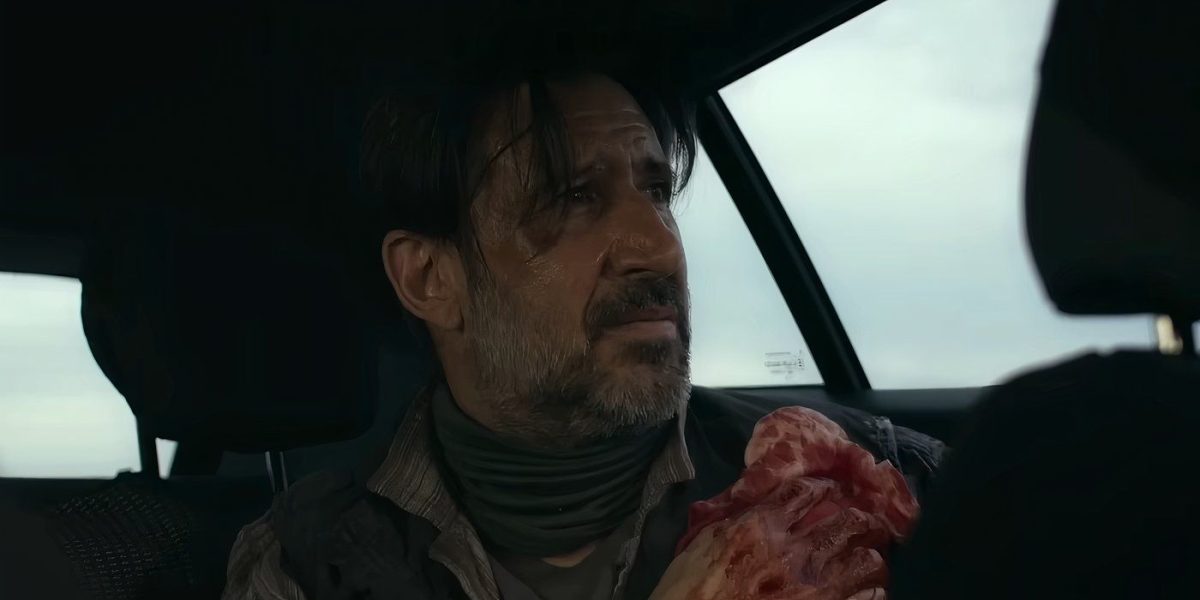 Qué le sucede al gato en Apocalipsis Z: el principio del fin