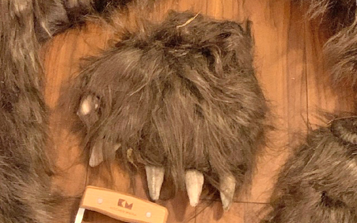 Hombre vestido de oso destrozó autos de lujo en intento de estafa | Video