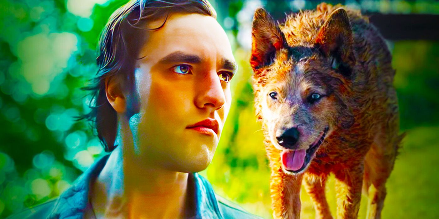 Pet Sematary Bloodlines 2: posibilidades de confirmación, planes de lanzamiento futuro de franquicia y todo lo que sabemos