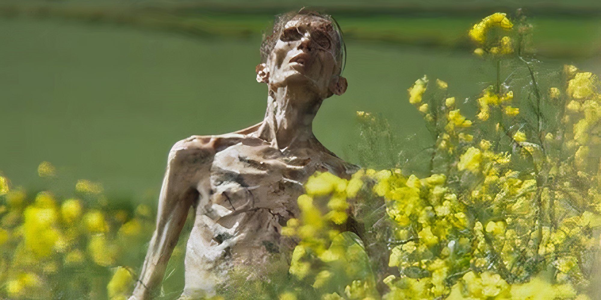 28 años después, tráiler de Zombie no es Cillian Murphy