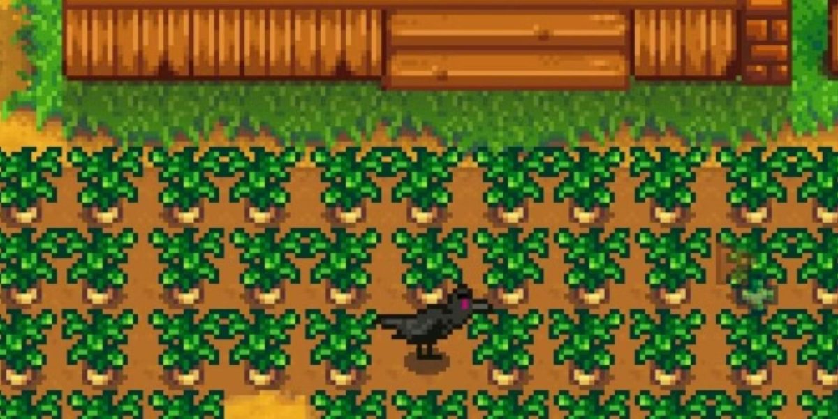 Probablemente estés usando mal los espantapájaros en Stardew Valley