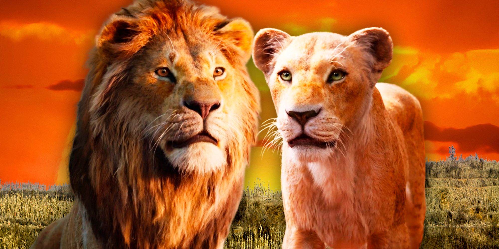 ¿Qué pasa con Simba y Nala después de El Rey León?