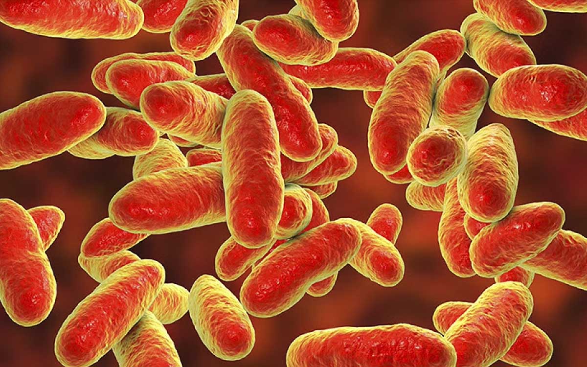 Contaminación por bacteria en Edomex probablemente se produjo durante la preparación de alimentos: infectólogo