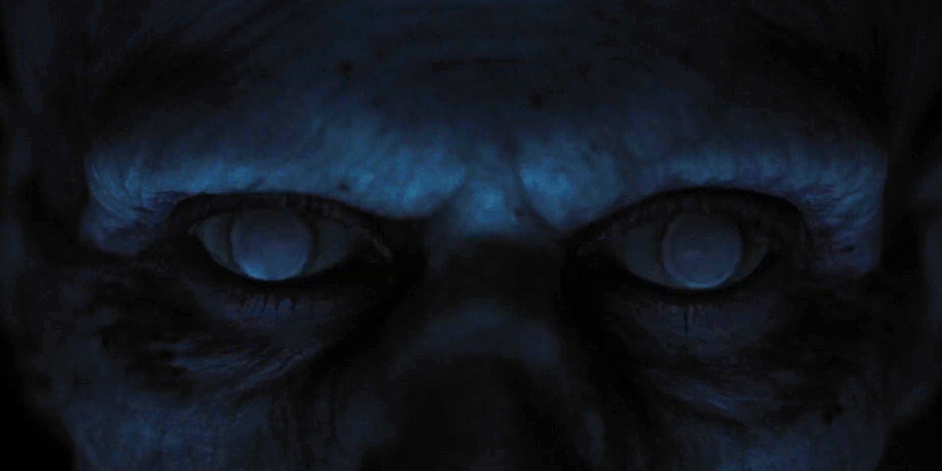 La línea de los ojos del Conde Orlock en primer plano extremo en Nosferatu