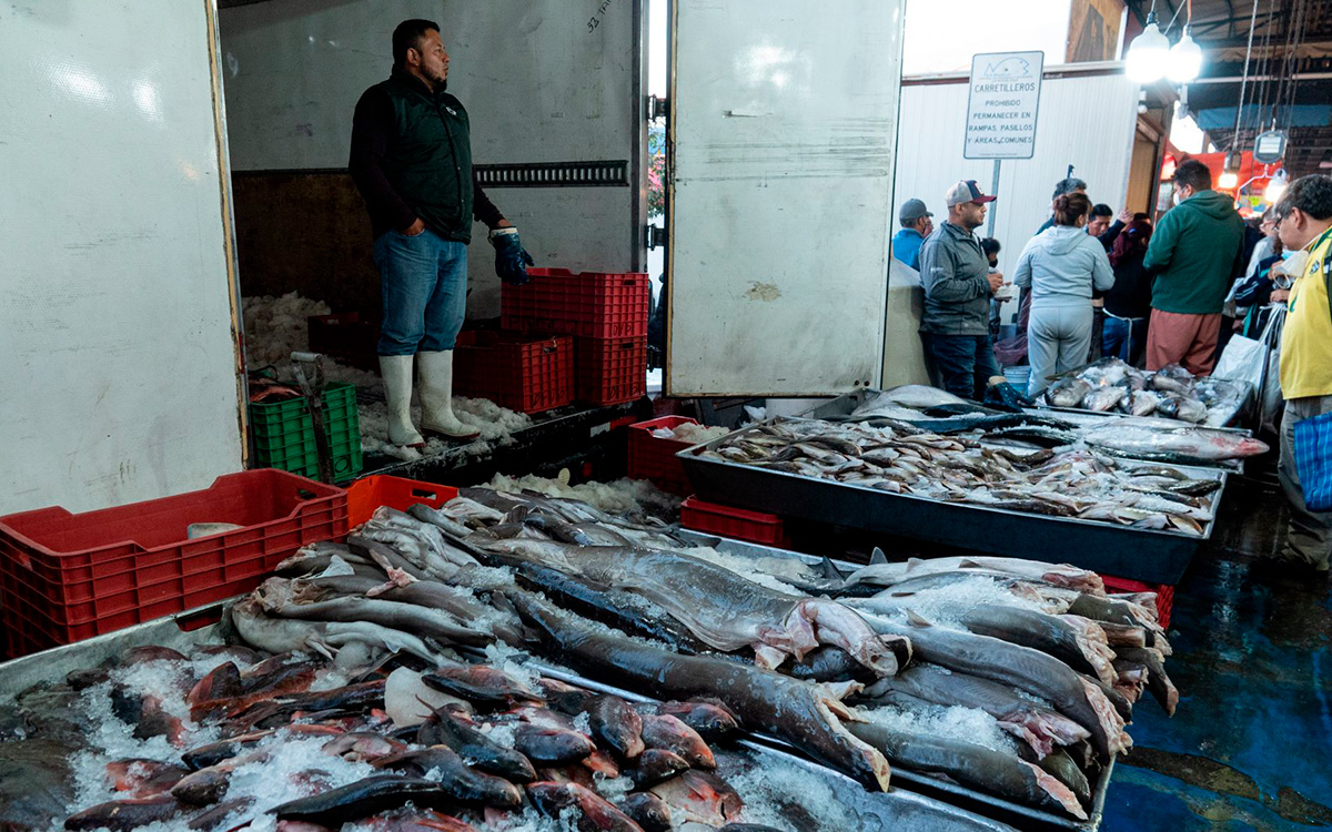 ¿Cuándo entra en vigor la Ley Silla? Esto sabemos