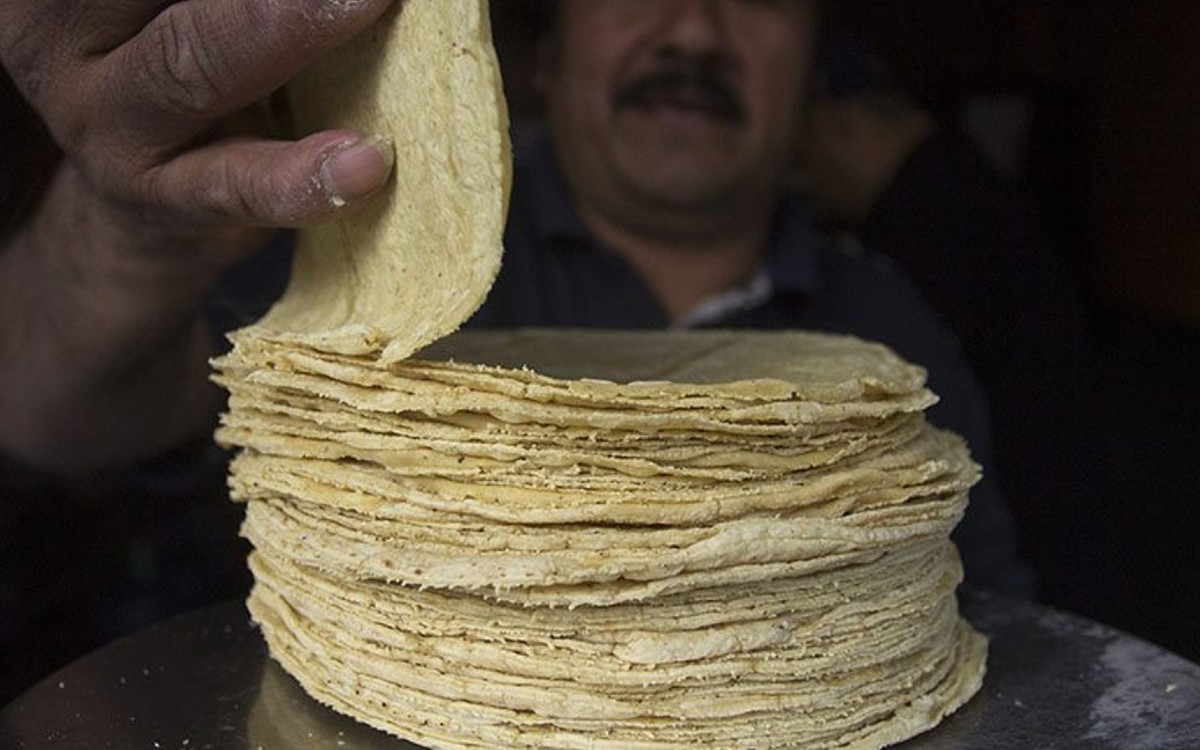 ¿Qué estados tienen los precios más altos de tortilla? Profeco informa
