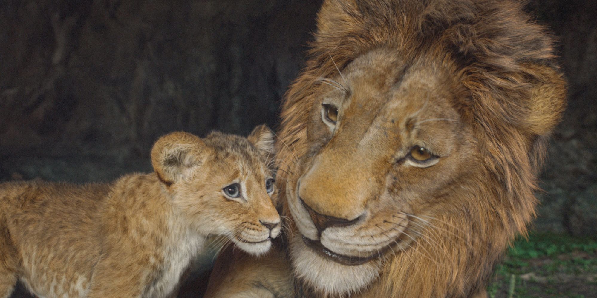 Mufasa confirma oficialmente exactamente dónde tiene lugar el Rey León en África