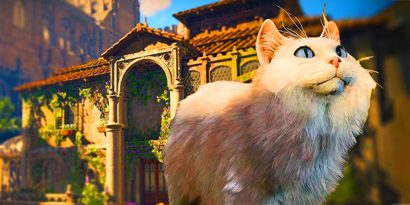 ¿Qué gato de Baldur’s Gate 3 encaja mejor con Derryth Bonecloak?