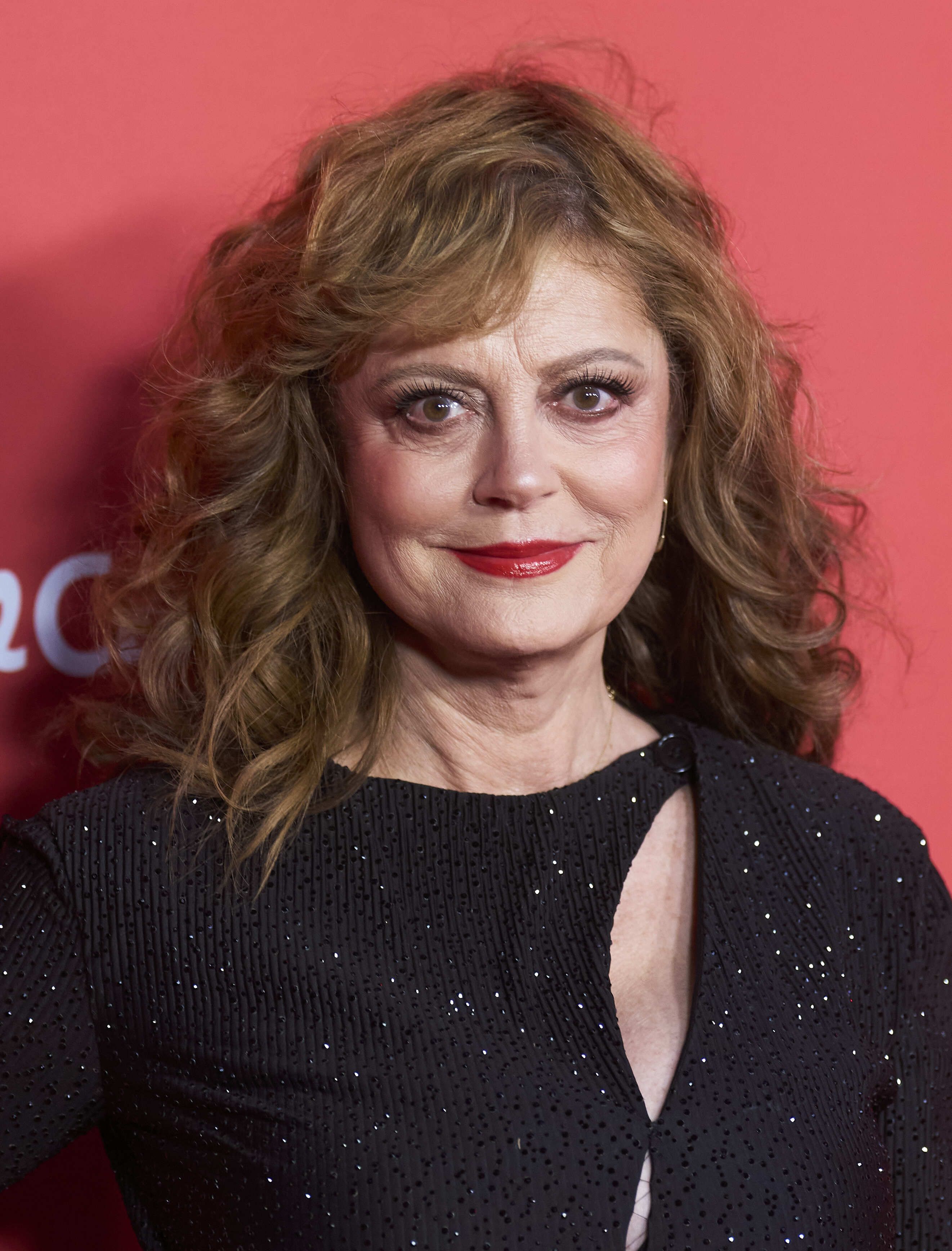 Tiro en la cabeza de Susan Sarandon