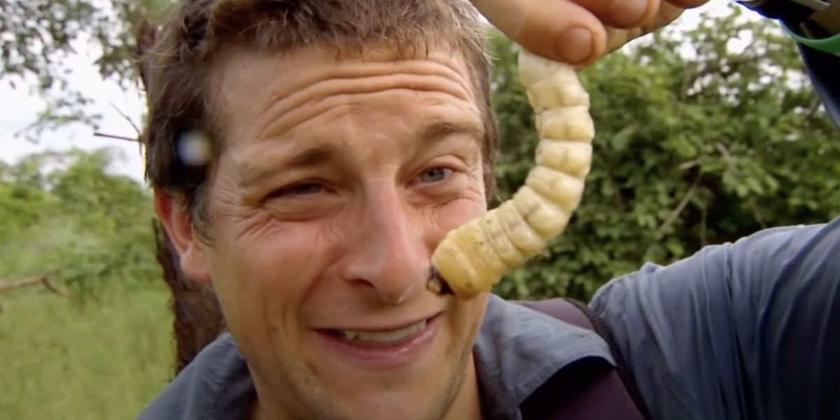Hombre vs. WILD: ¿Cuánto del espectáculo Bear Grylls es falso vs. Real explicado