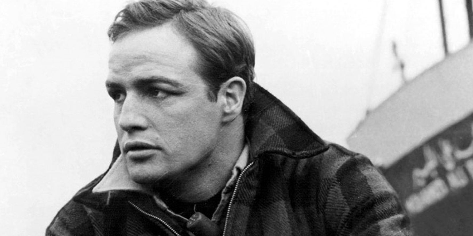 La película criminal de mejor puntaje de Marlon Brando en Rotten Tomatoes no es el Padrino: es este clásico de 1954 con un puntaje del 99%