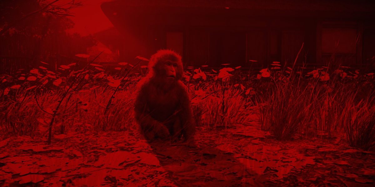 Assassin's Creed Shadows: Cómo conseguir monos para su escondite