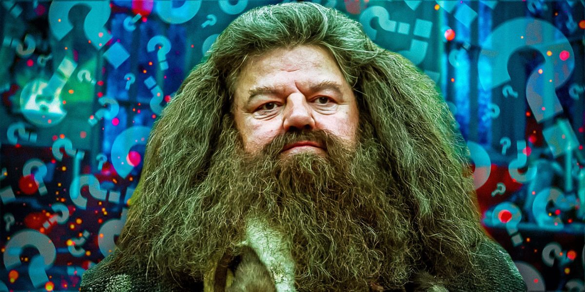 ¡Sí! El casting Hagrid del remake de Harry Potter es la mejor noticia hasta el momento (y el único actor que desearía)
