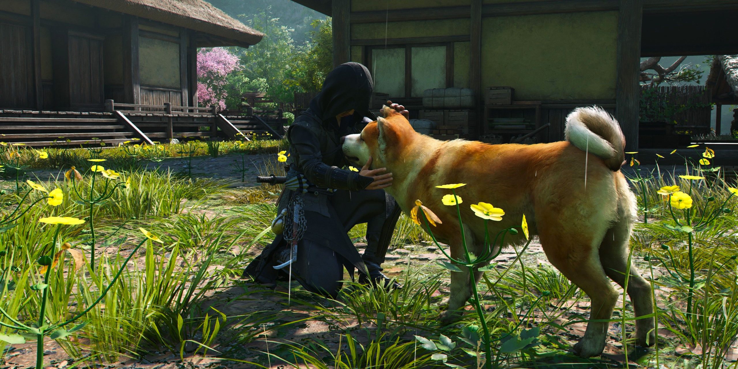 Cada ubicación de animales en Assassin's Creed Shadows