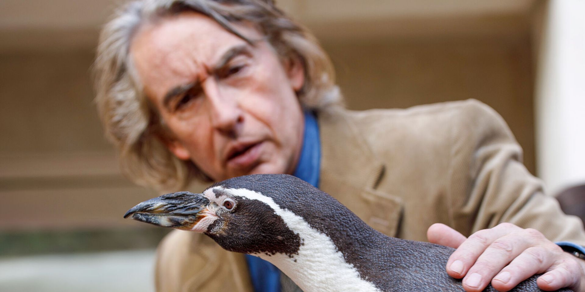 The Penguin Lessons Review: Fui encantado por la extraña y maravillosa drama de Steve Coogan que ve la cosmovisión de un hombre cambiado por un pingüino