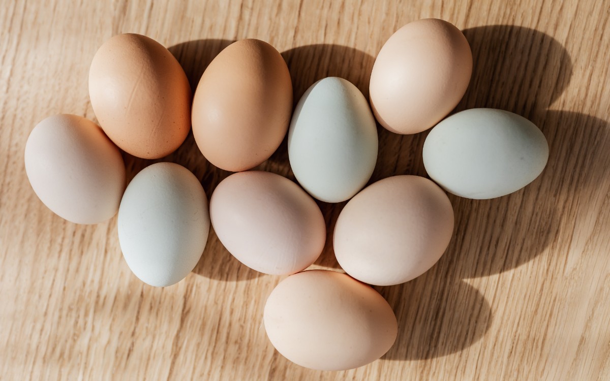 Contrabandistas de huevos abundan ante altos precios en Estados Unidos