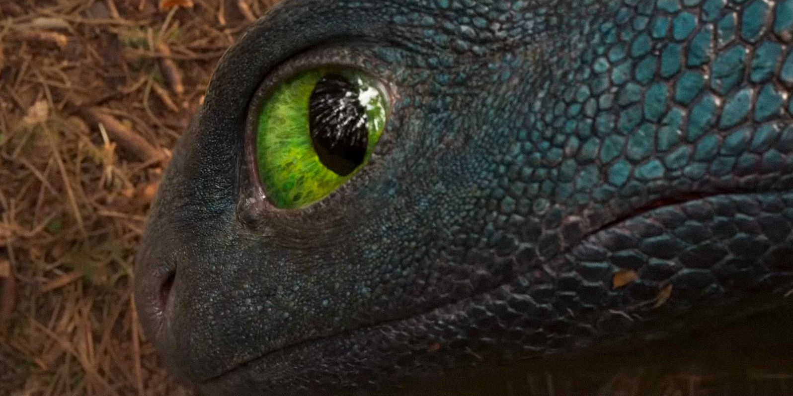 “Ojalá nos salimos con la suya [It]”: Cómo entrenar la acción en vivo sin dientes de acción en vivo de su dragón mantuvo 1 elemento clave de su diseño animado a pesar de ser totalmente poco realista