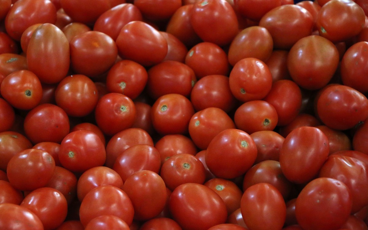 ¿Qué es el dumping? Razón detrás de la sanción de EU a tomates mexicanos