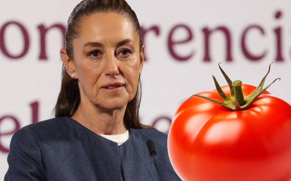 'No tiene la calidad': Sheinbaum responde a quejas de tomateros de EU
