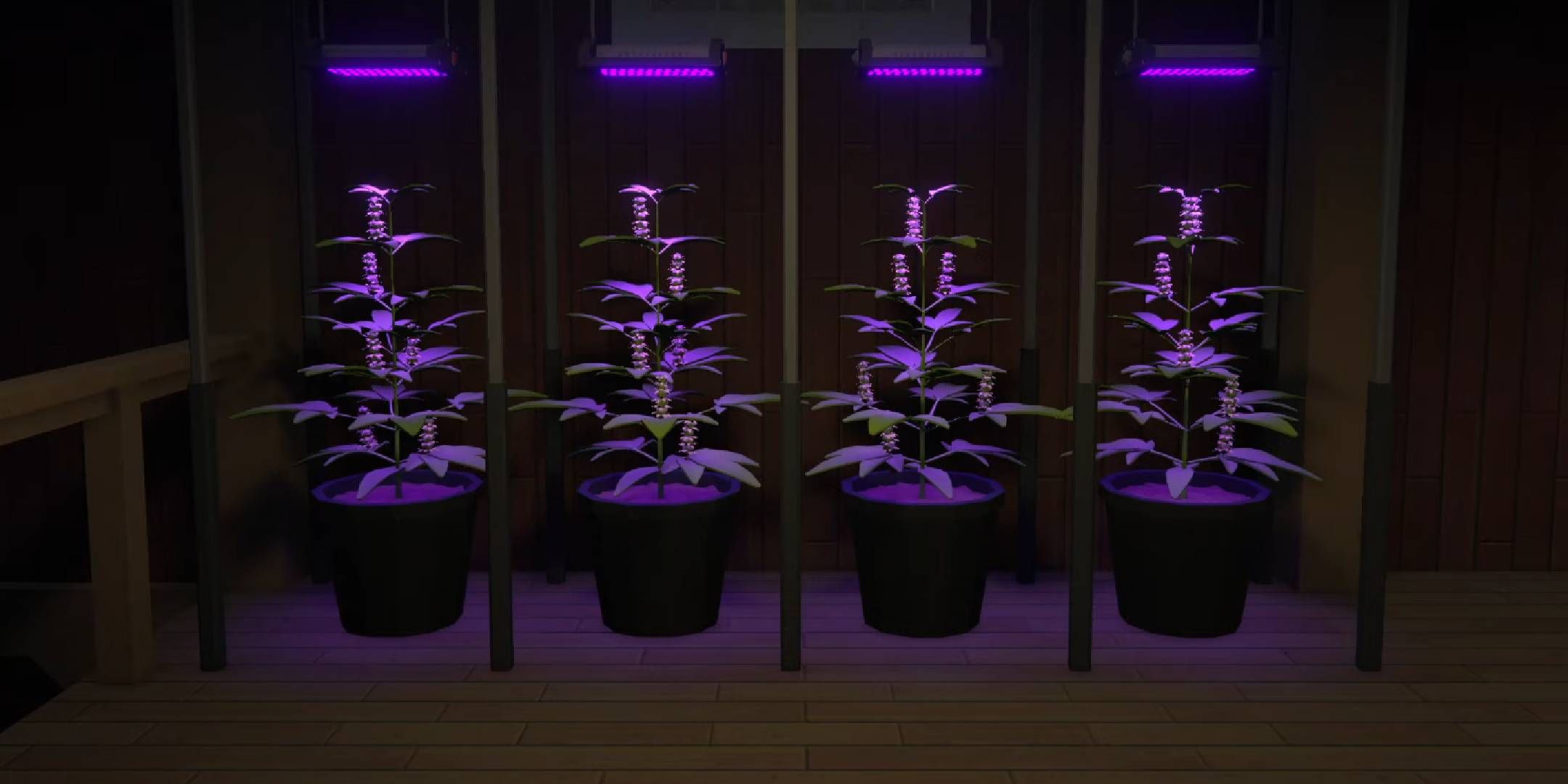 La mejor mezcla OG Kush en el Anexo 1