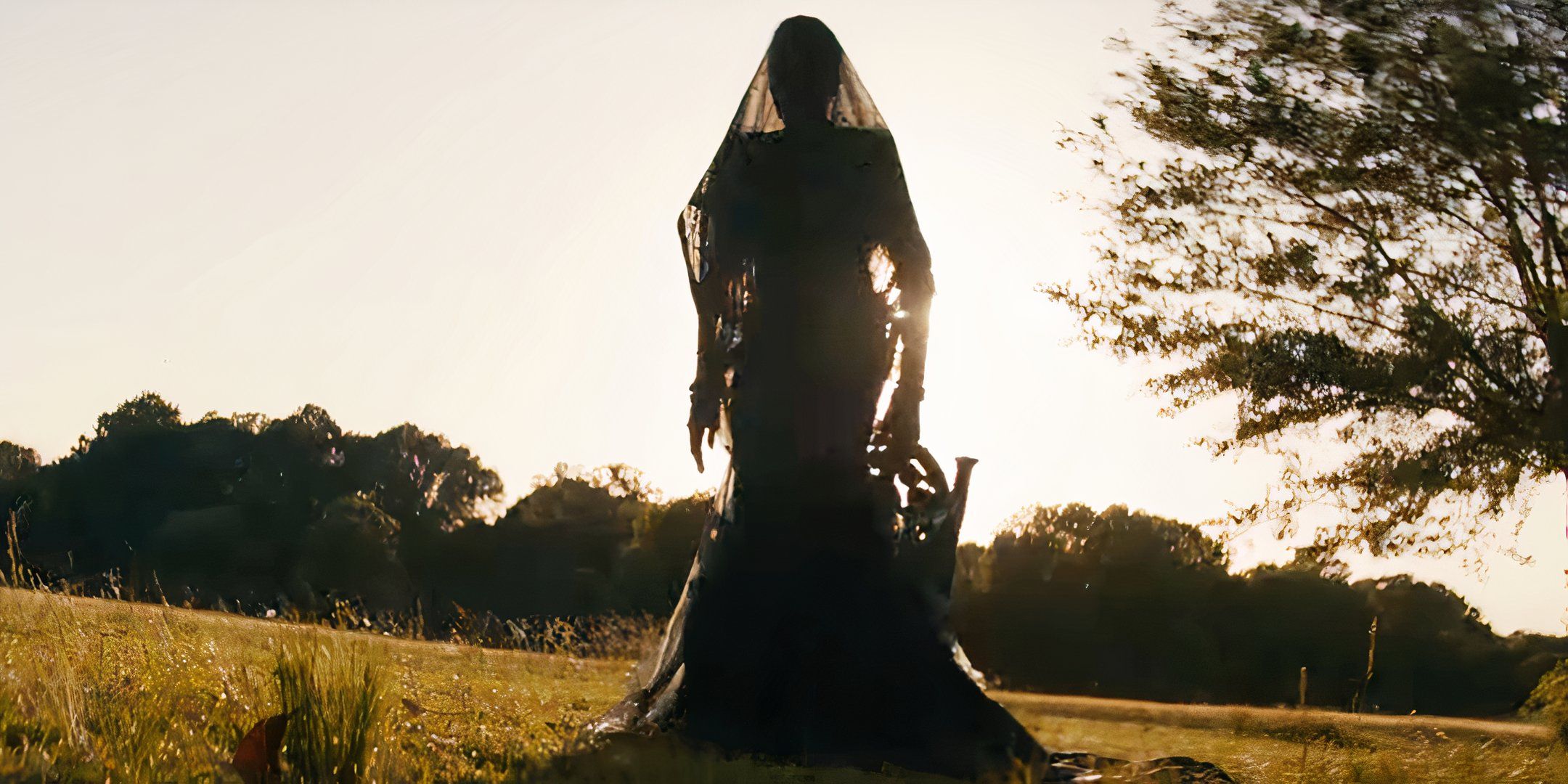 La mujer en los mundos de espejo del patio explicó: cómo Ramona y la mujer están conectadas con ellos