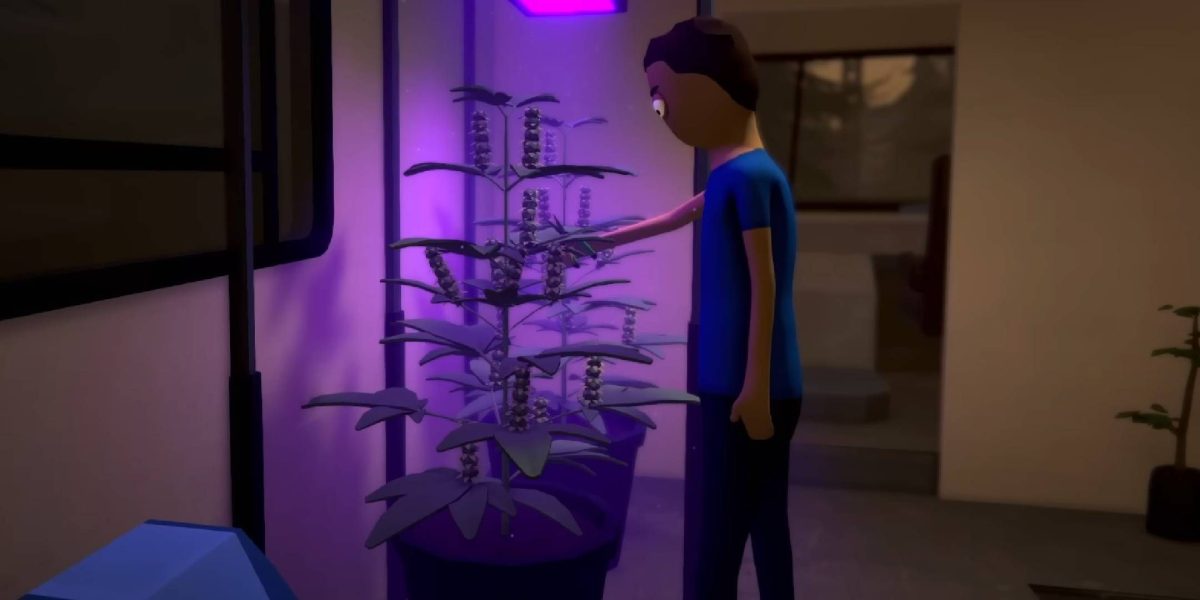 Cómo obtener hojas de coca en el Anexo 1