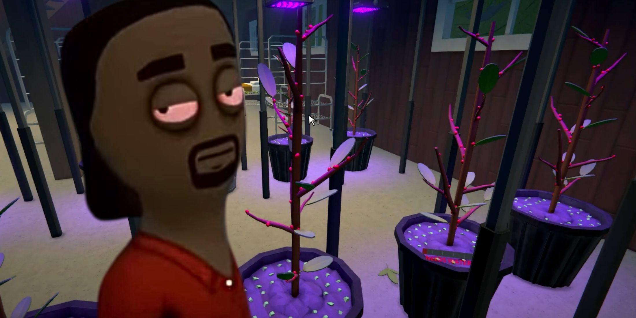 Cómo obtener semillas de coca en el Anexo 1