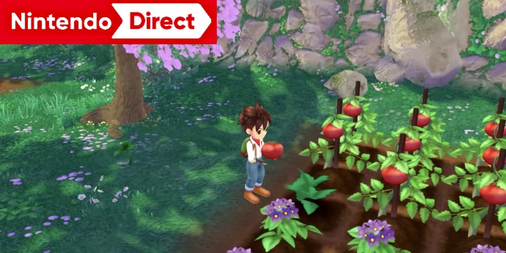 Estoy convencido de que finalmente es hora de otra agricultura de Nintendo Direct