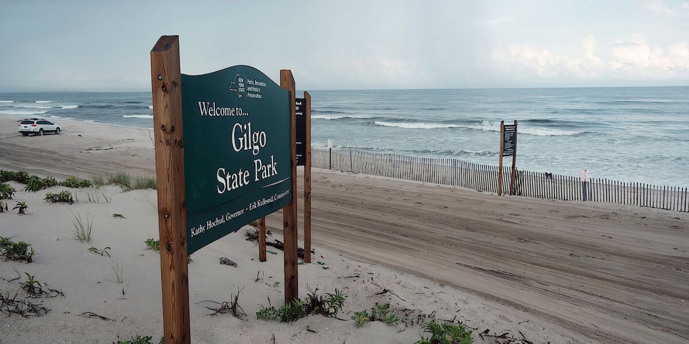 Cómo Gone Girls se compara con Lost Girls y lo que agrega el documental sobre el asesino en serie de Long Island