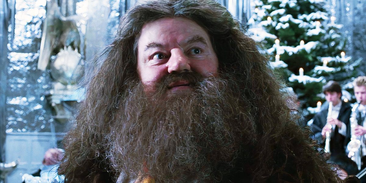 "Prometo que no te decepcionará": la estrella de reinicio de Harry Potter TV comparte un mensaje apasionado con la confirmación de casting de Hagrid