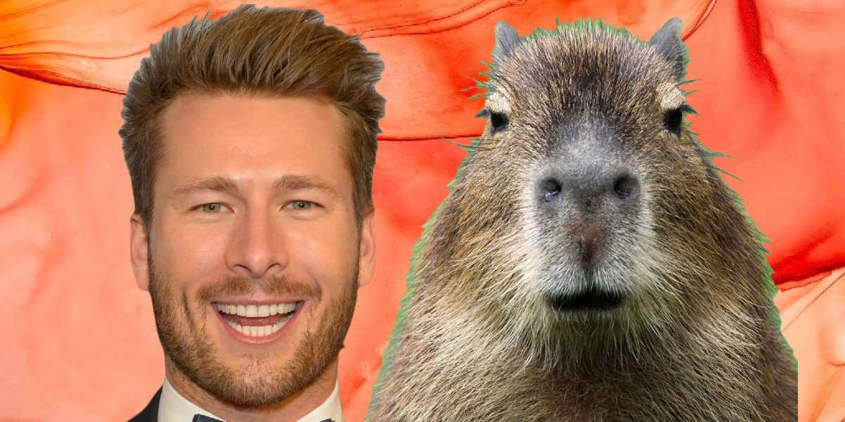 No puedo ver a Glen Powell como capibara, el meme viral explicó