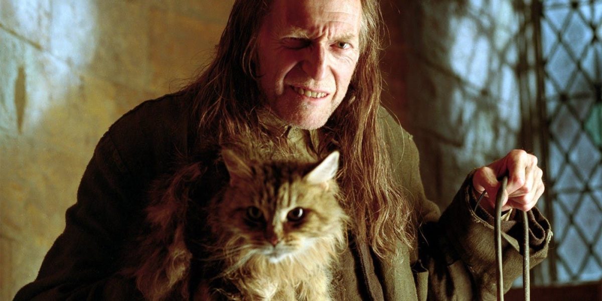 El nuevo actor de Filch del remake de Harry Potter ya estaba en las películas, pero probablemente no lo recuerdes
