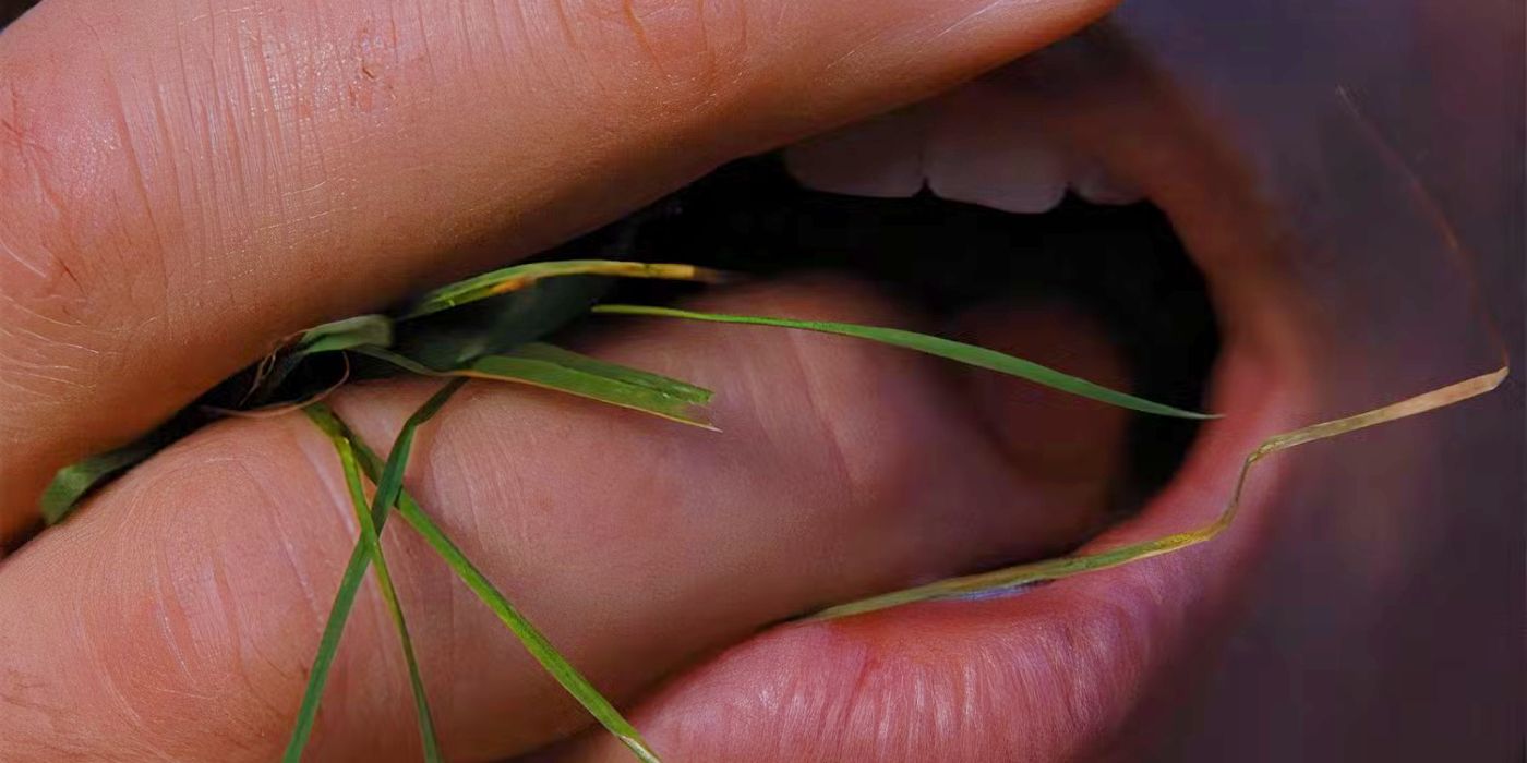 La fidelidad del libro de la película de Wuthering Heights recibe advertencia del director de casting: “Definitivamente habrá algunos fanáticos iluminados en inglés que no serán felices”