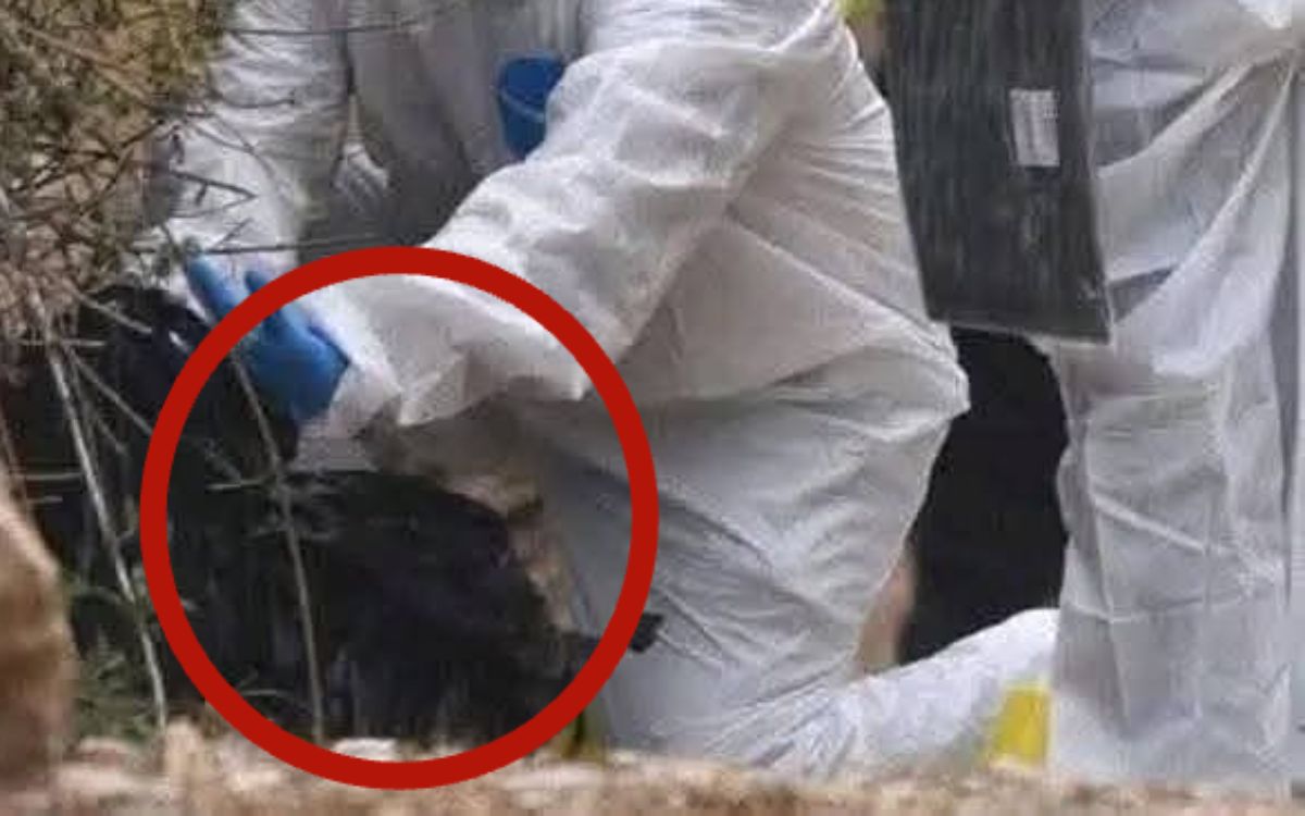 Chiapas | Encuentran a un recién nacido sin vida en un basurero de Comitán