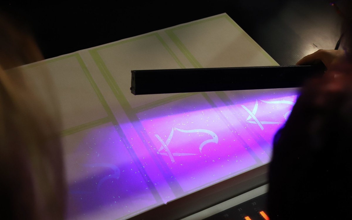 Elección Judicial | Más de 136 mil personas presentan solicitud ante INE para fungir como observador electoral