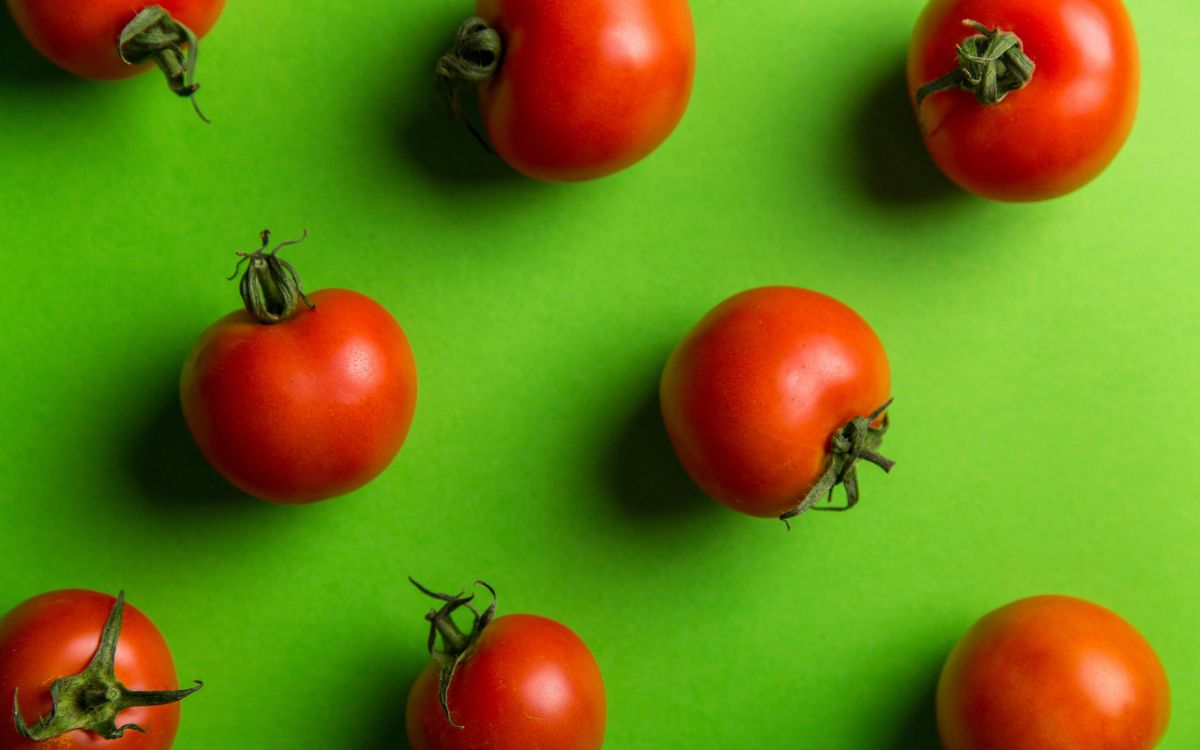 Estados Unidos impondrá aranceles al jitomate de México