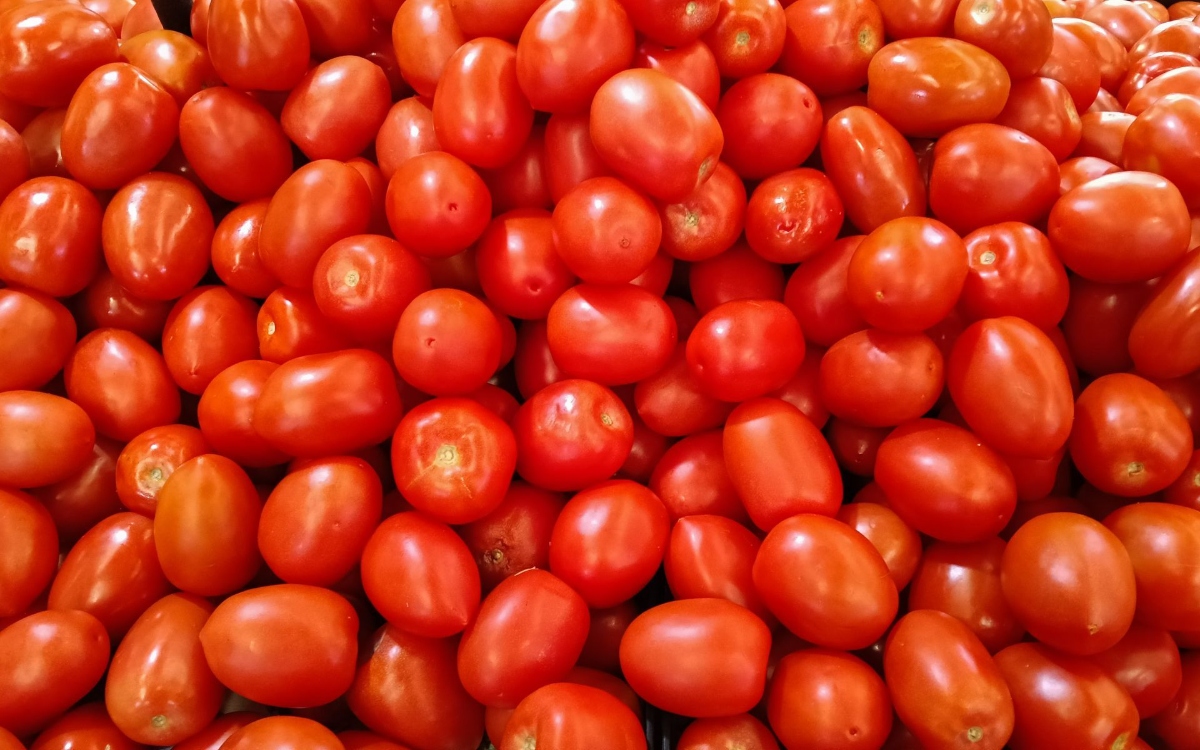 Finalización del acuerdo sería desastroso para la industria mexicana: Gándara