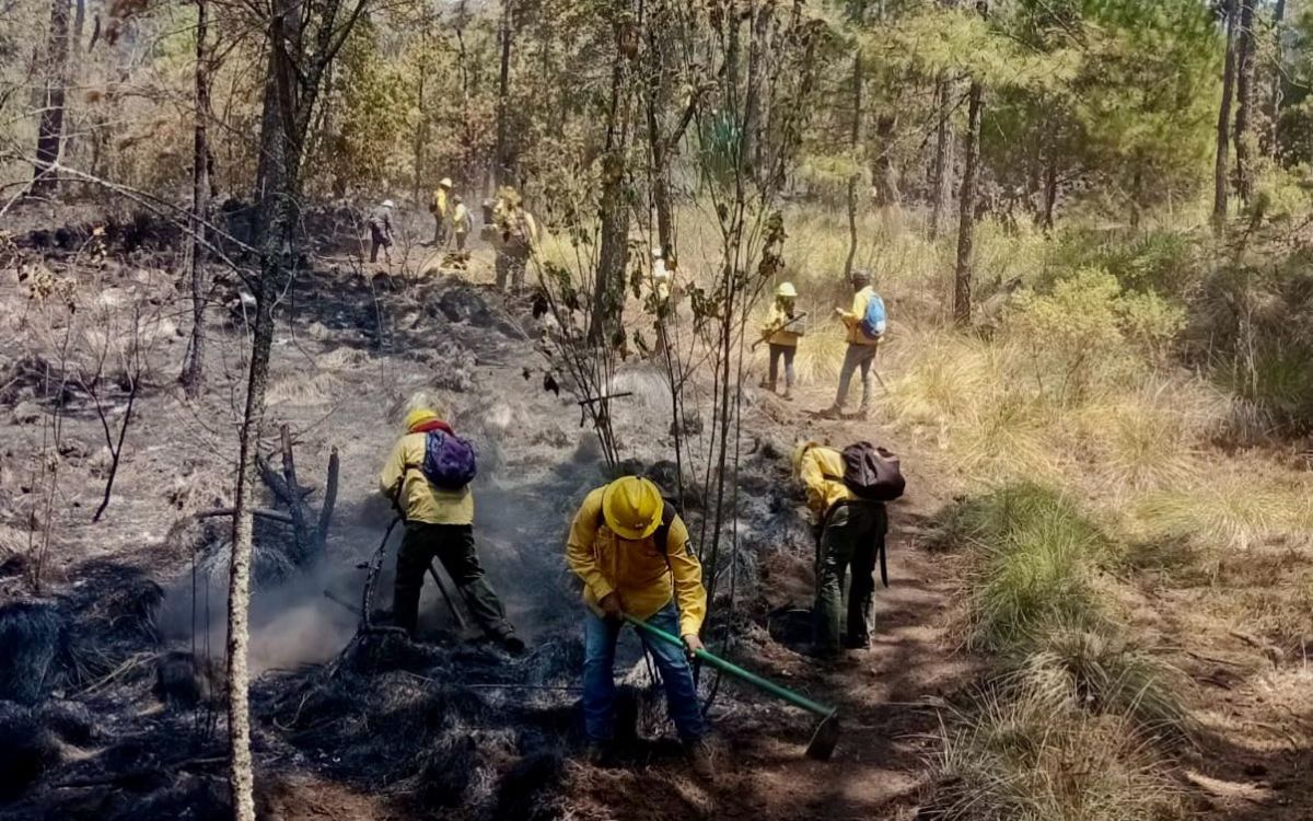 Morelos | Incendios forestales cobran una vida; ejidatario muere al combatir el fuego
