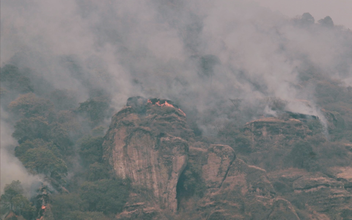Reportan 123 incendios forestales activos en el país