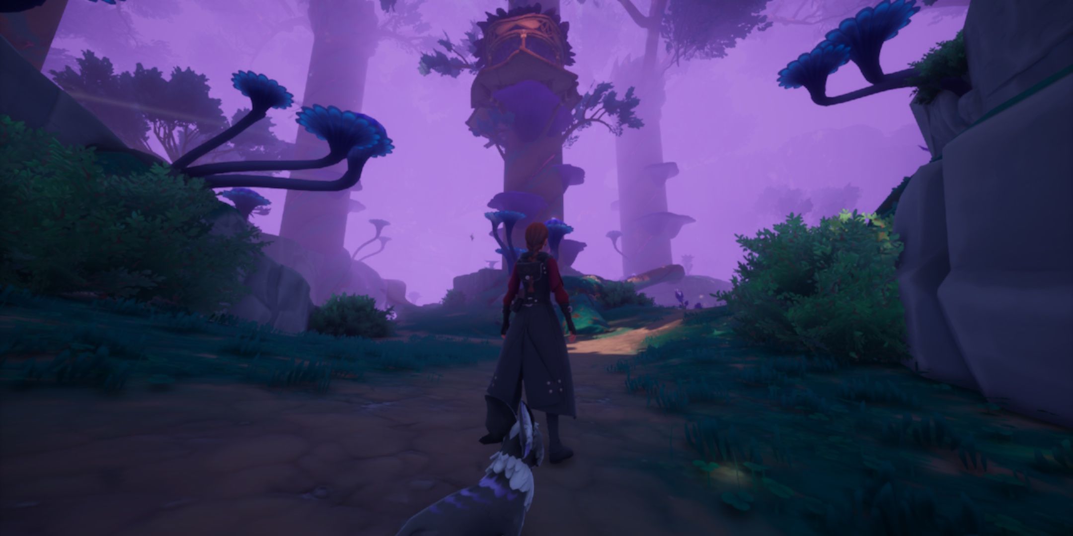 Palia: dónde encontrar todos los establos en la madera de ancianos