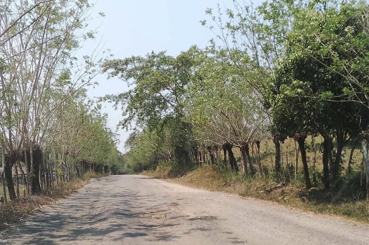 La SICT en Veracruz otorgó contrato a empresa fantasma que abandonó construcción de carretera | Especial