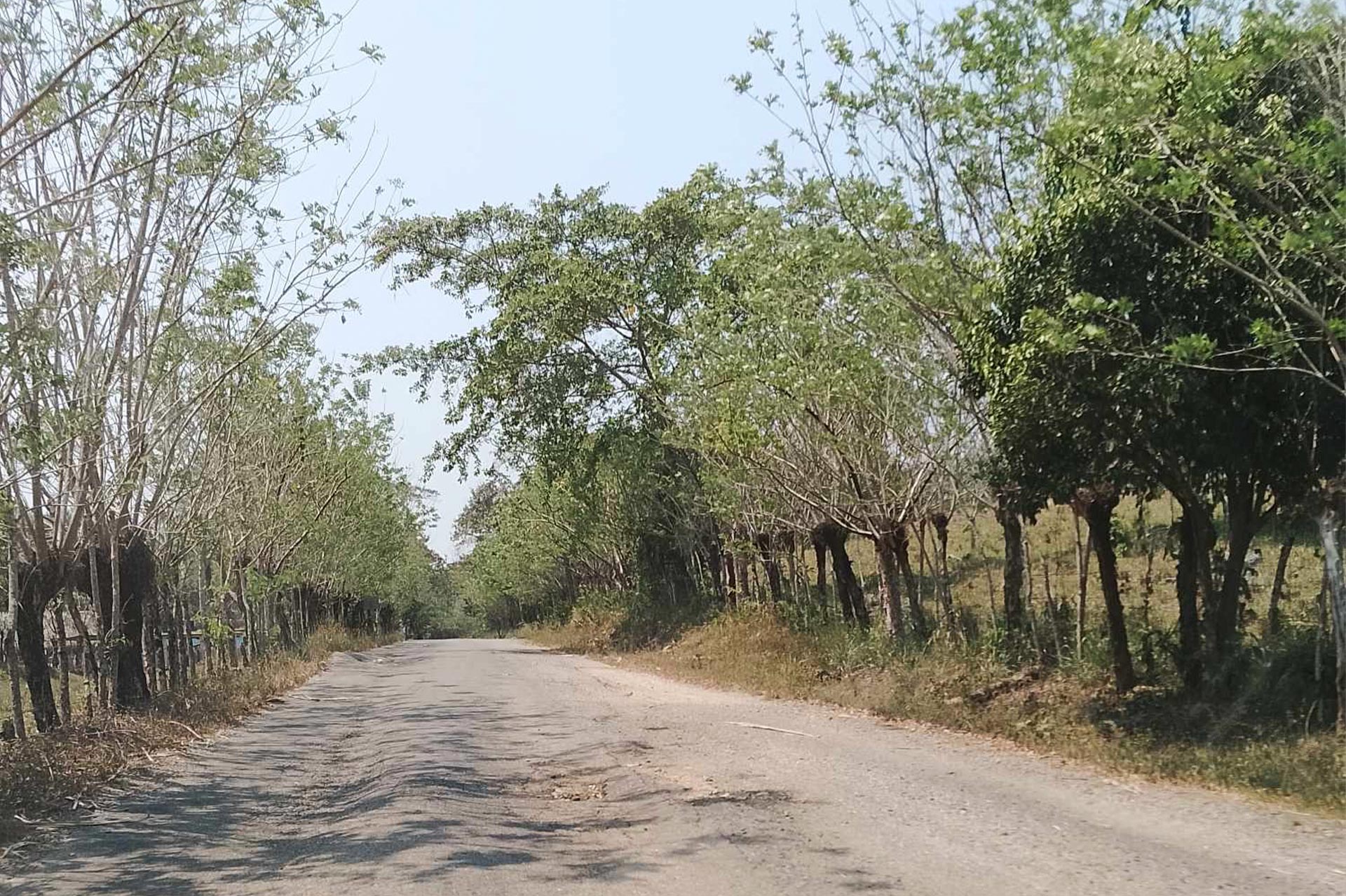 La SICT en Veracruz otorgó contrato a empresa fantasma que abandonó construcción de carretera | Especial