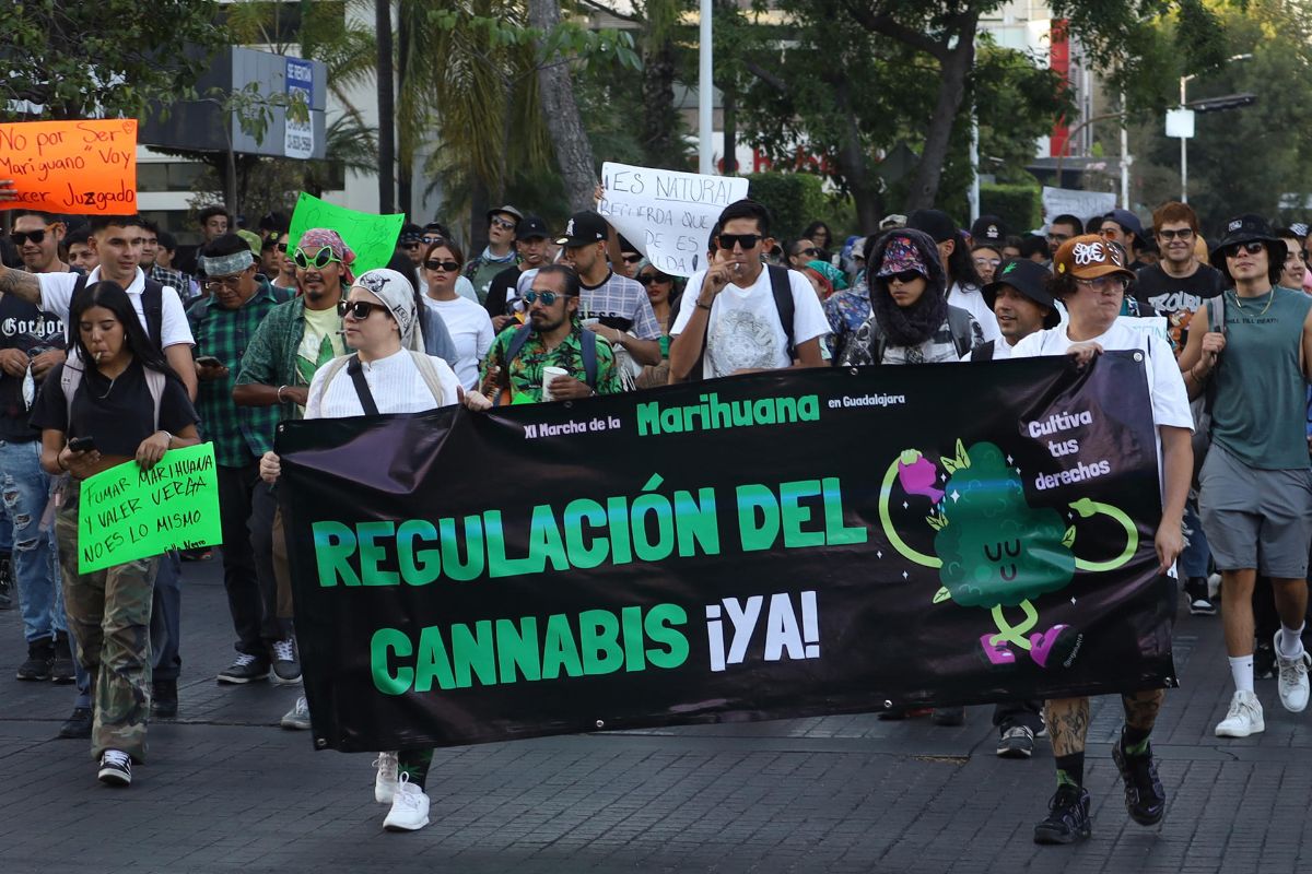 Miles exigen en México regulación para consumo y uso recreativo de cannabis