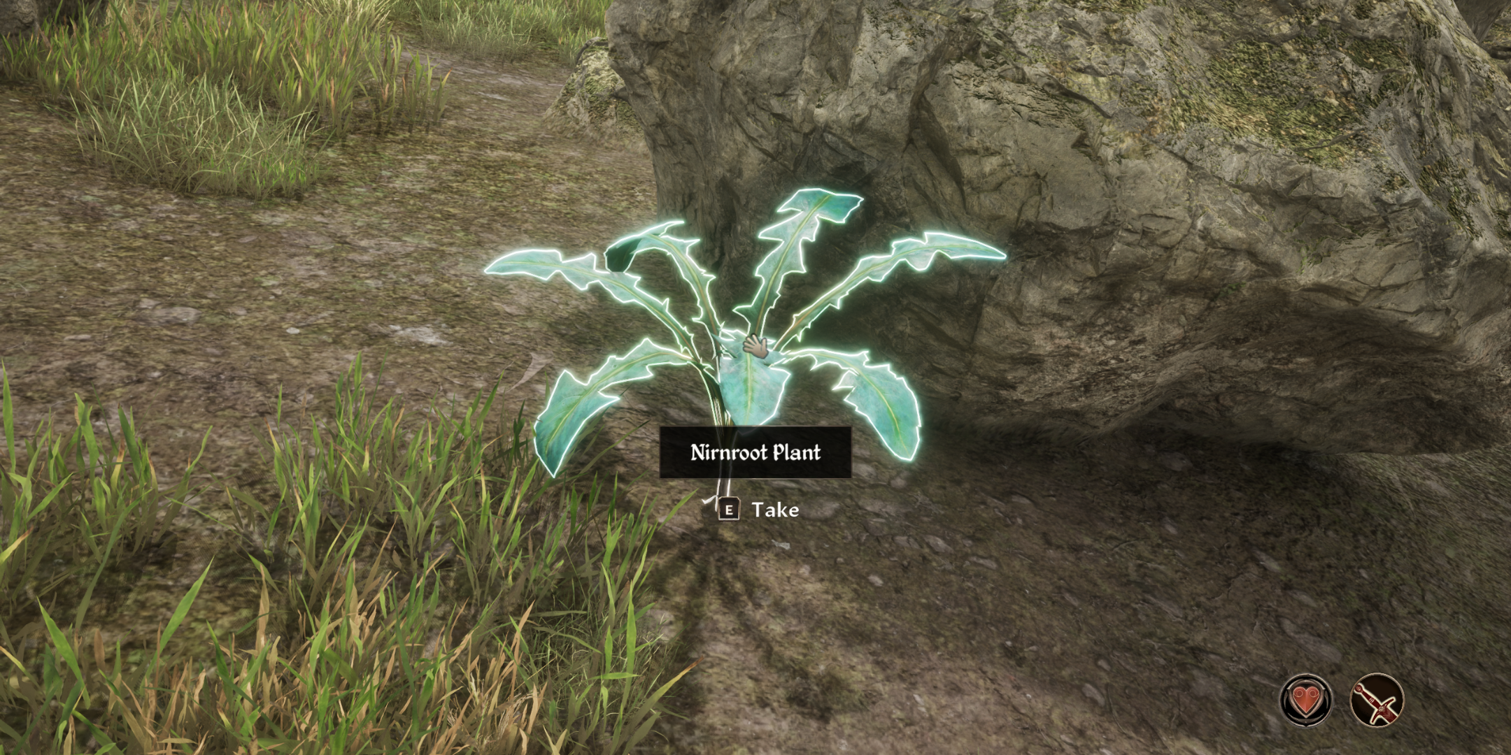 Olvido planta nirnroot remasterizada